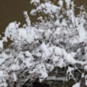 Meet your Posher, Cuong